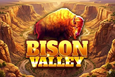 Bison Valley