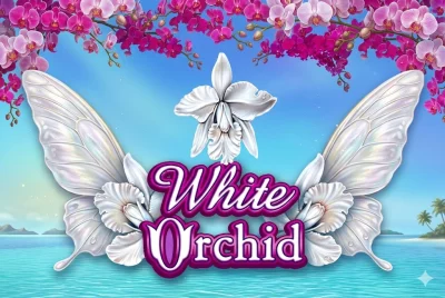 White Orchid